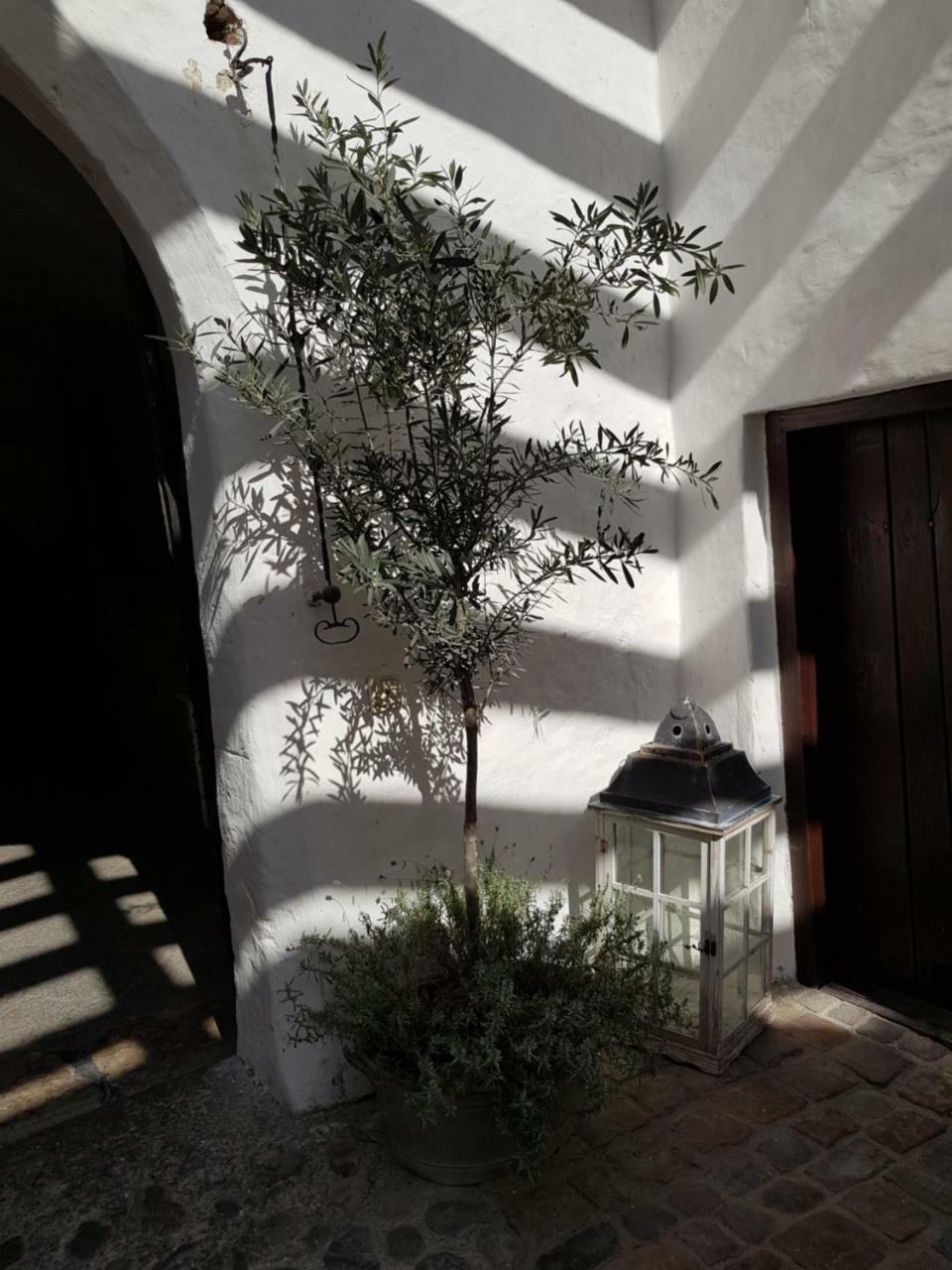 Hotel Schloss Amerang מראה חיצוני תמונה